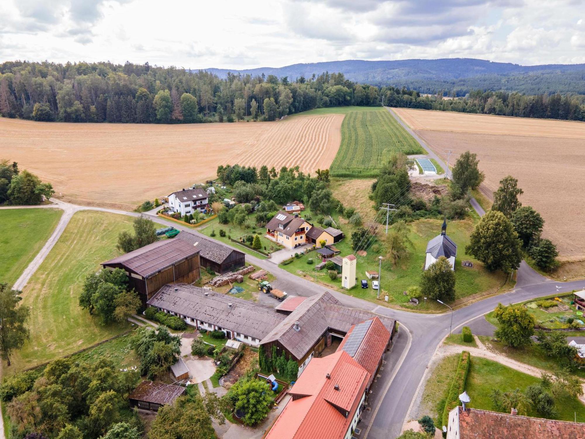 Ferienwohnung Baecher Wiesau Exterior photo